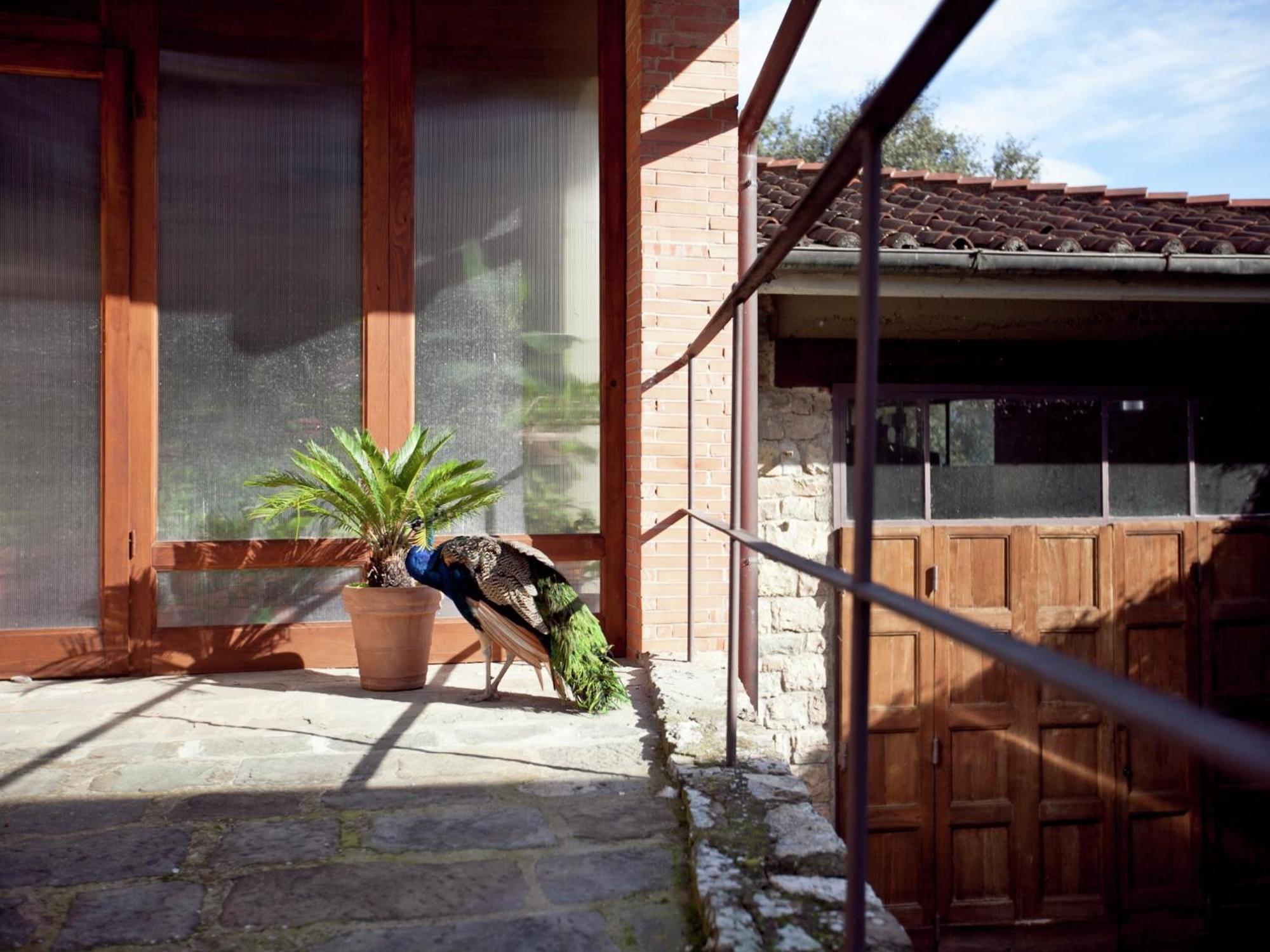 Pleasant Apartment With Swimming Pool Garden Bbq Parking Lucolena in Chianti Exteriör bild